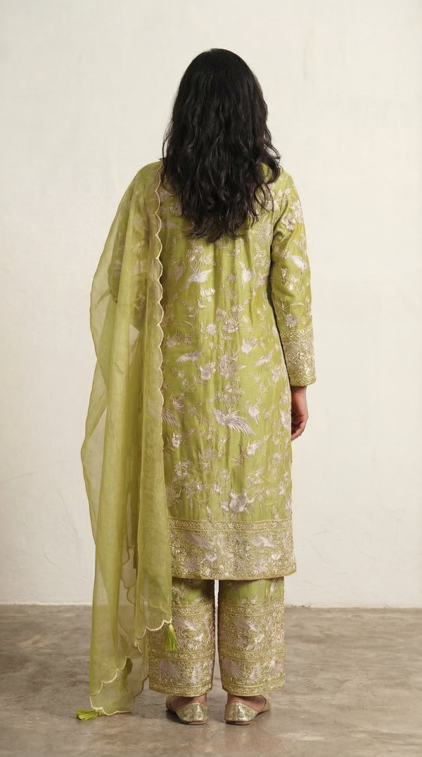 Moss Green Parsi Gara Suits